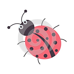 Cute cartoon ladybug. Beetle with polka dots. Funny little ladybird
