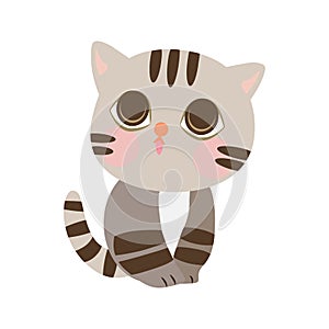 Cute Cartoon Little Baby Cat Icon. Cat standing on the floor with front face. Cat with gray color.