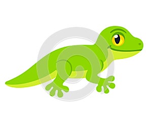 Cute cartoon Lizard