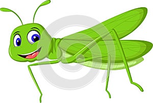 Cute cartoon locust for you design