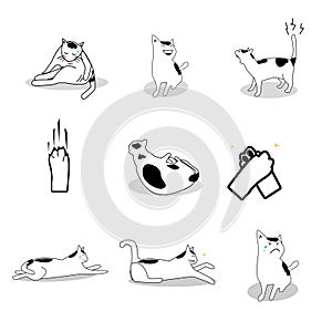 Cute cartoon lovely Cat sketching symbol in holiday activity isolated on white background ,love and care concept