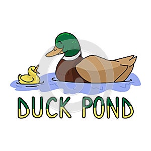 Cute cartoon mallard duck and duckling with text vector clipart. Wildlife animal waterfowl for nature lovers. Stylized