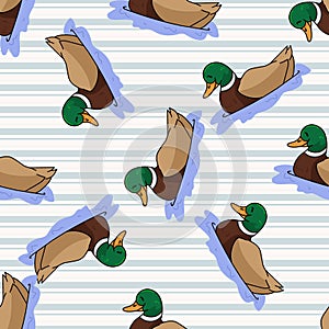 Cute cartoon mallard duck on pond seamless vector pattern. Wildlife animal waterfowl for nature lovers illustration. Fun