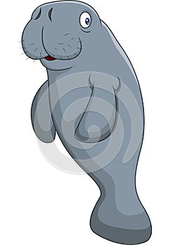 Cute cartoon manatee