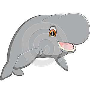 Cute cartoon manatee photo