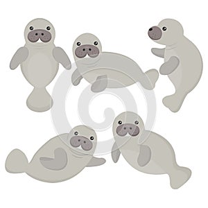 Cute cartoon manatee on white background. D