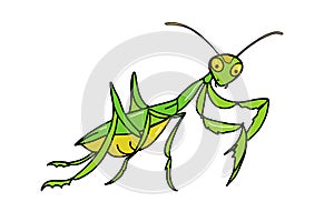 Cute, cartoon mascot, mantis illustration drawing,isolated.Coloring.