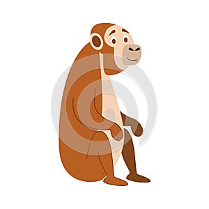 Cute cartoon monkey vector illustration