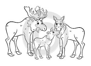 Cute cartoon moose family vector coloring page outline. Male and female mooses with little moose. Coloring book of forest animals photo