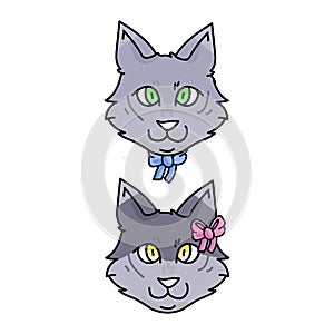 Cute cartoon munchkin kitten boy and girl vector clipart. Pedigree kitty breed for cat lovers. Purebred grey domestic