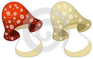 Cute cartoon mushroom - isolated on white
