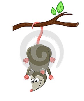 Cute cartoon opossuml. Vector illustration. Smiling opossum.