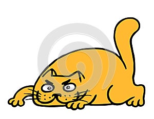 Cute cartoon orange cat preys. Vector illustration.