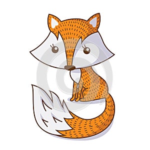 Cute cartoon orange fox isolated on white background