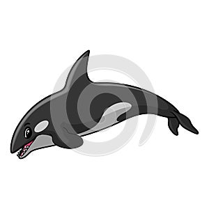 Cute cartoon orca a swimming