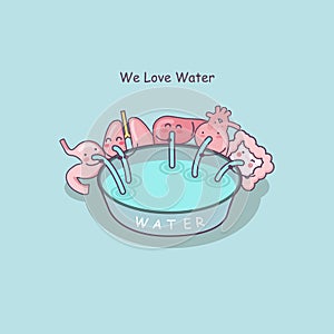 Cute cartoon organs love water