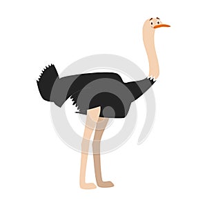 Cute cartoon ostrich vector illustration