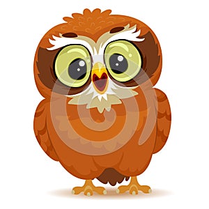 Cute Cartoon Owl