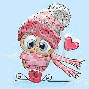 Cute Cartoon Owl