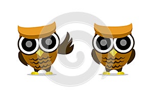 Cute cartoon owl vector character illustration