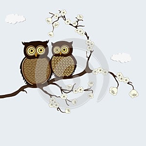 Cute cartoon pair of owls on branch