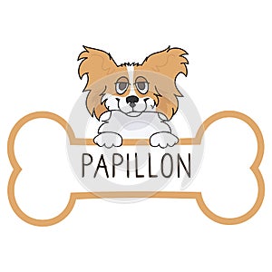Cute cartoon Papillon on collar dog tag vector clipart. Purebred doggy identification medal for pet id. Domestic dog for