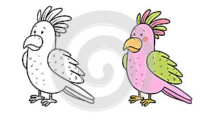 Cute cartoon parrot. Illustration for coloring book.Vector.