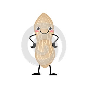 Cute cartoon peanut vector illustration isolated on white background.