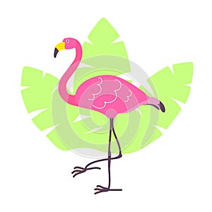 Cute cartoon pink flamingo and green tropical leaves isolated on white background. Vector illustration can be used for logo