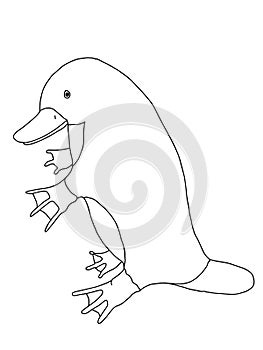 Cute cartoon  platypus ornithorhynchus , animal illustration  white background