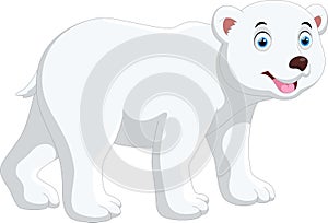 Cute cartoon Polar bear