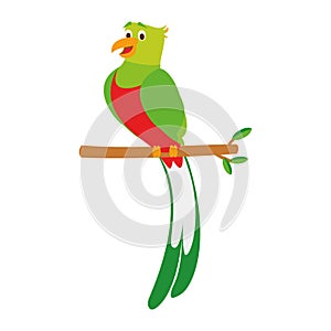 Cute cartoon quetzal vector illustration photo