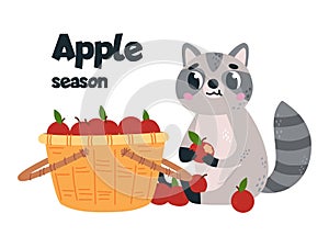 Cute cartoon raccoon eat apples. Harvest time, fresh fruits, market card. Apple season print design, vitamin organic