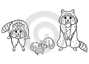 Cute cartoon raccoon family vector colorin page outline. Male and female raccoons with their little raccoons. Forest animals for photo