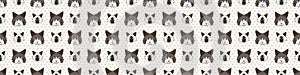 Cute cartoon Ragdoll cat and kitten face seamless border pattern. Pedigree kitty breed domestic kitty background. Cat