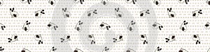 Cute cartoon Ragdoll kitten seamless border pattern. Pedigree kitty breed domestic kitty background. Cat lover fluffy