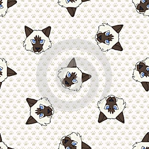 Cute cartoon Ragdoll pet kitten face seamless vector pattern. Pedigree kitty breed domestic cat background. Cat lover