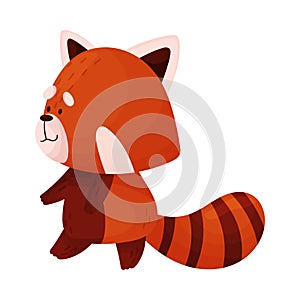 Cute Cartoon Red Panda Standing Looking Sideward Vector Illustration