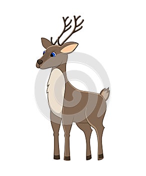 Cute cartoon reindeer. Arctic animal. Vector illustration. Isolated on white