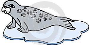 Cute cartoon Ringed seal on ice floe