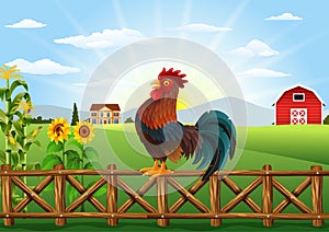 Cute cartoon rooster crowing in the farm fence