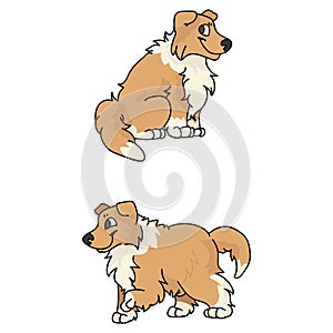 Cute cartoon Rough Collie puppy vector clipart. Pedigree kennel doggie breed for kennel club. Purebred domestic dogs