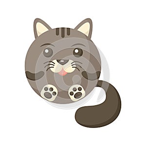 Cute cartoon round animal cat, vector zoo sticker isolated on white background.