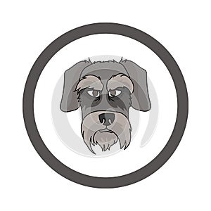 Cute cartoon Schnauzer face in circle dog vector clipart. Pedigree kennel doggie breed for kennel club. Purebred