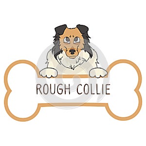 Cute cartoon Scottish Collie on collar dog tag vector clipart. Purebred doggy identification medal for pet id. Domestic