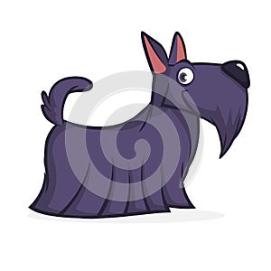 Cute cartoon scottish terrier. Vector black Scottie dog