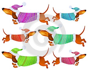 Cute cartoon set dachshunds in colorful winter clothes