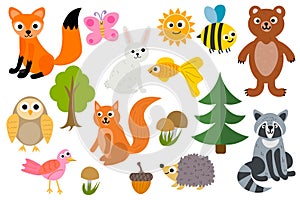 Cute cartoon set of woodland animals isolated on white background.