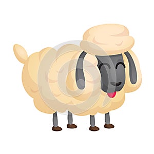 Cute cartoon sheep. Farm animal vector illustration isolated on white