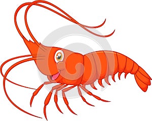 Cute cartoon shrimp photo